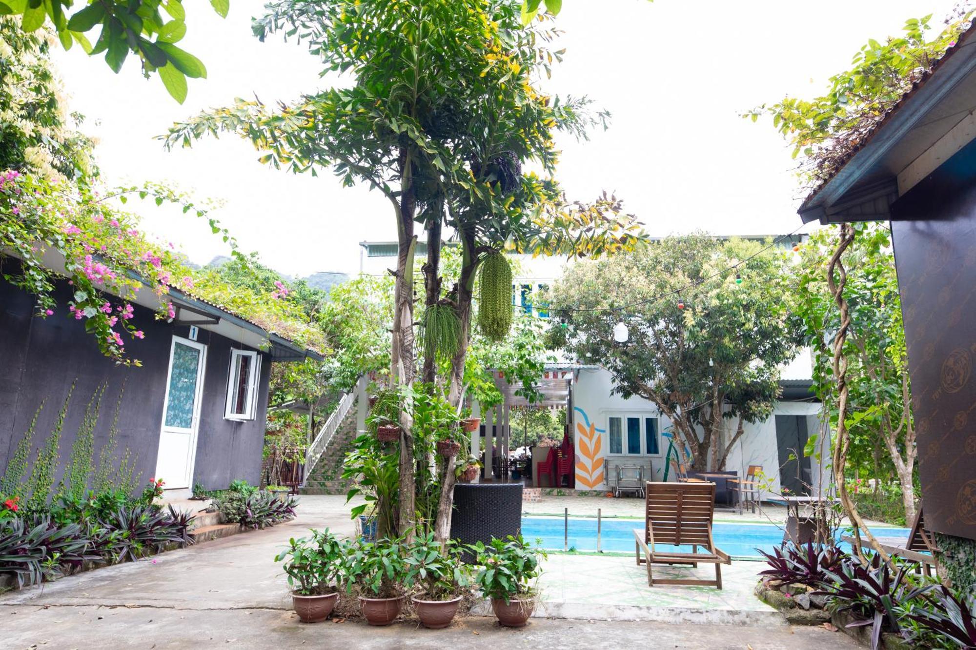 Cat Ba Countryside Homestay Dong Khe Sau Екстериор снимка